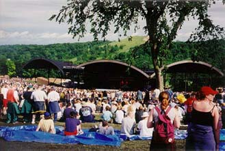 seated crowd in grass